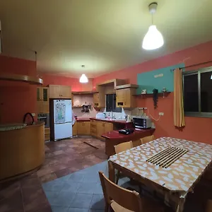 Nest House אכסניה